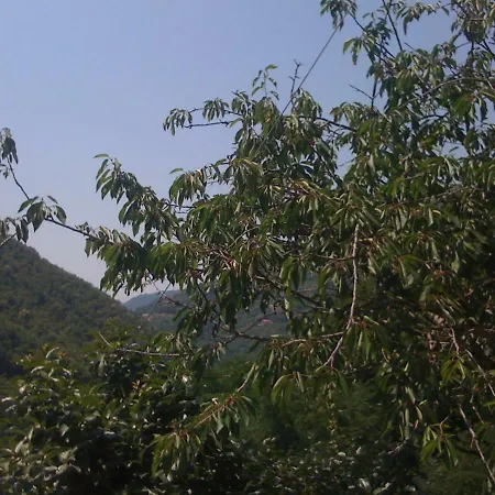 Casa Marvi Διαμέρισμα *