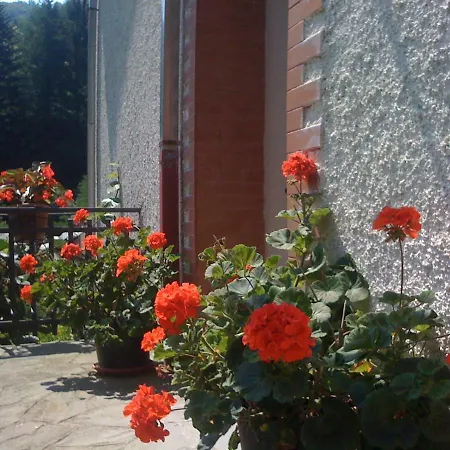 Casa Marvi