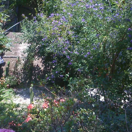 Casa Marvi * Mezzanego